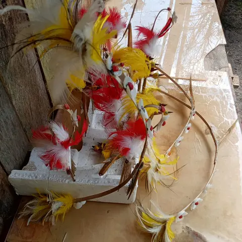 Asesoris wondama