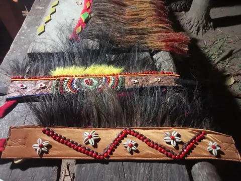Makota papua