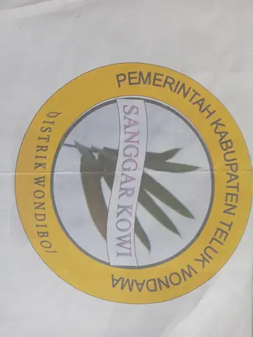 Asesoris papua